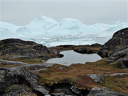 Ice Fjord