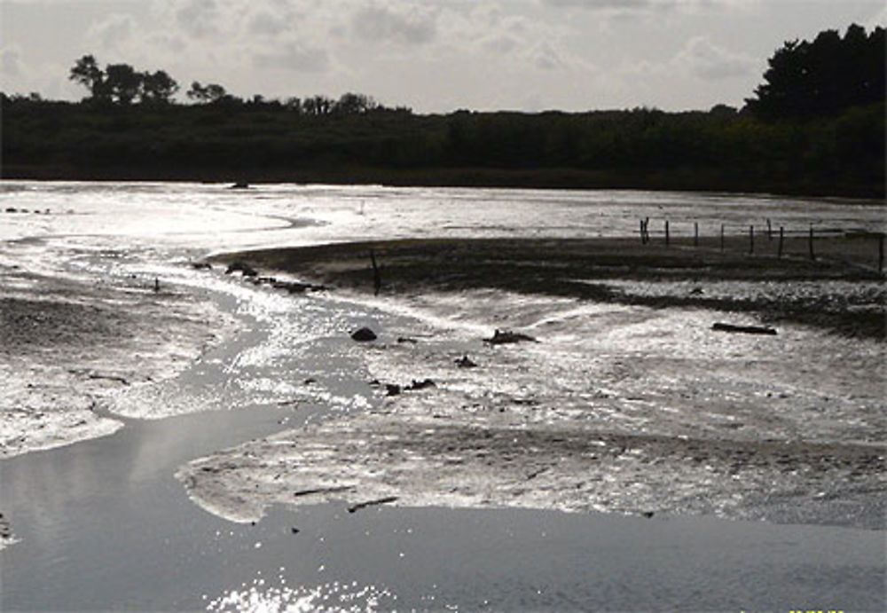 Marée basse à Arzon