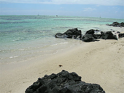 Plage île aux cerfs