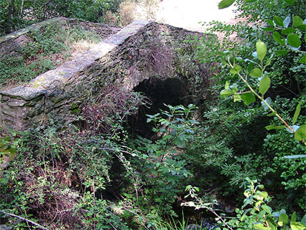 Le pont Génois de Farinole