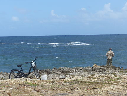 Un pêcheur solitaire au Moule, Guadeloupe
