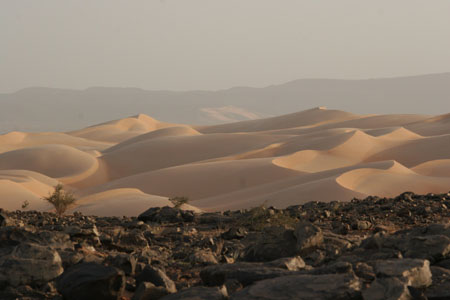 Entre dunes et rochers Entre dunes et rochers