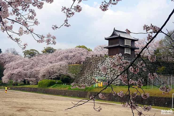 Pourquoi aimes-tu autant aider les voyageurs à découvrir au mieux le Japon via nos forums et ton blog ? 