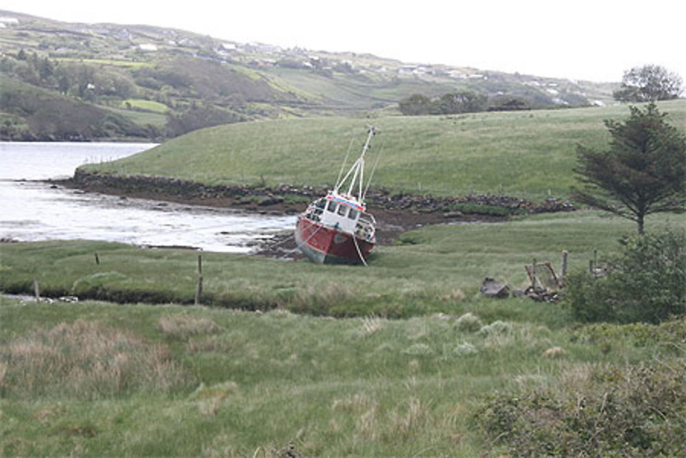 Un bateau sur l'herbe