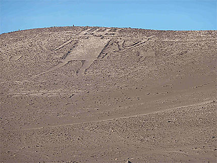 Le géant d'Atacama