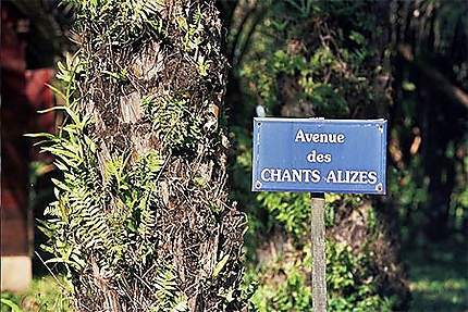 Avenue des CHANTS ALIZES...