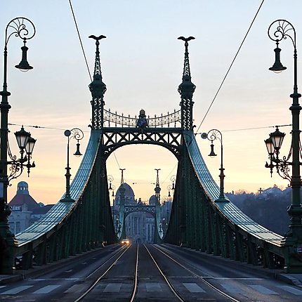 Pont de la liberté, Budapest