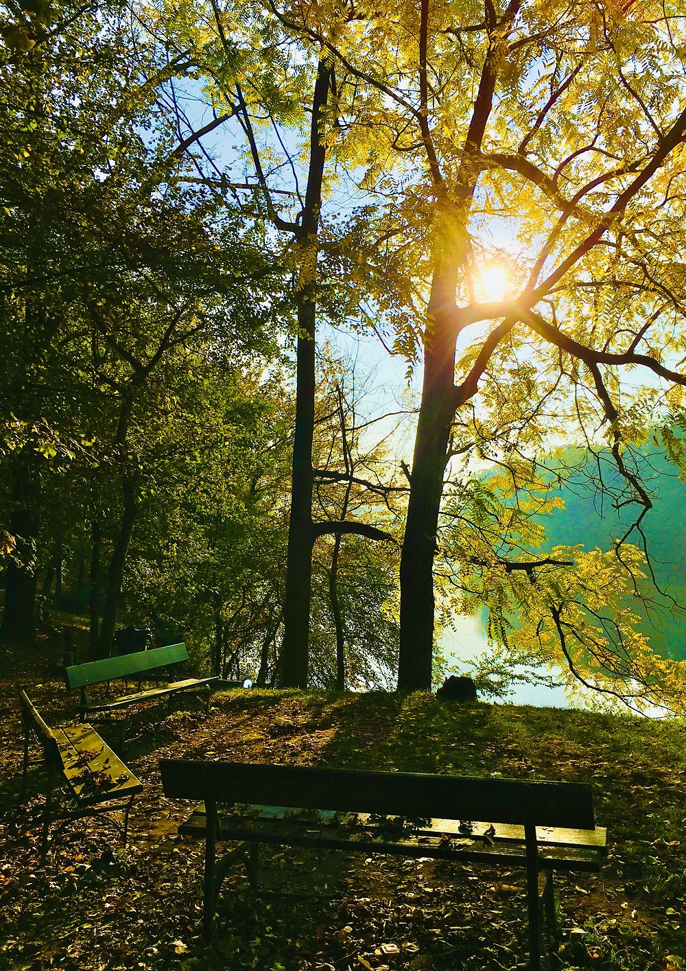 Automne à Turin