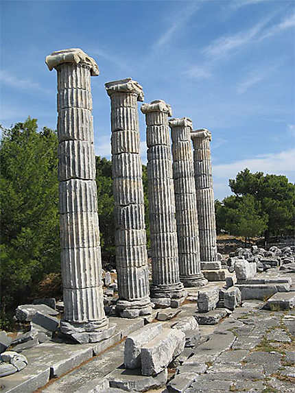 Temple d'Athéna à Priène