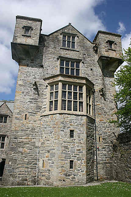 Le château de Donegal