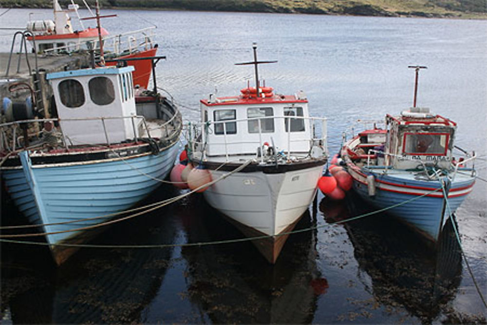 Bateaux de pêche