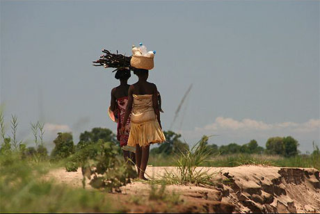 Prise a la volée depuis la pirogue sur la tsiribina Prise a la volée depuis la pirogue sur la tsiribina