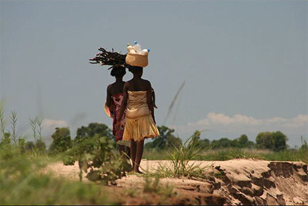 Prise a la volée depuis la pirogue sur la tsiribina