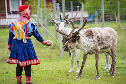 Les Samis en Laponie suédoise