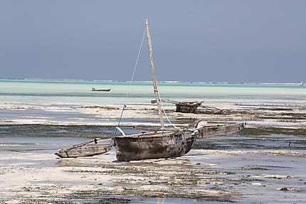 Marée basse à Jambiani