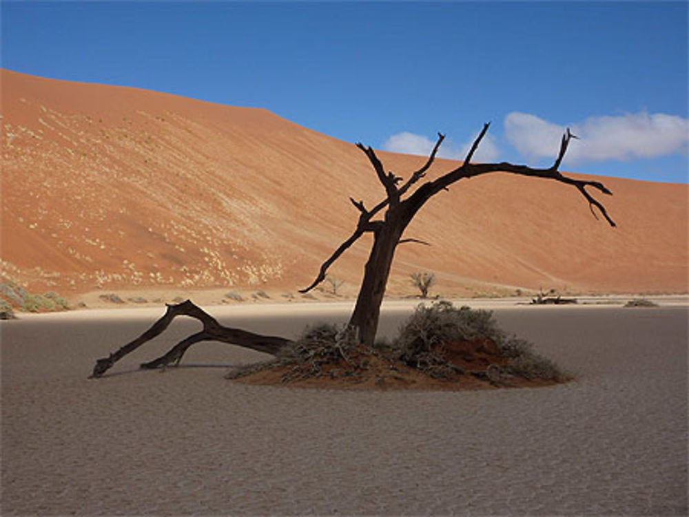 Ombre dans la cuvette