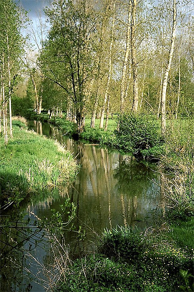 Une conche dans le Marais Poitevin Une conche dans le Marais Poitevin
