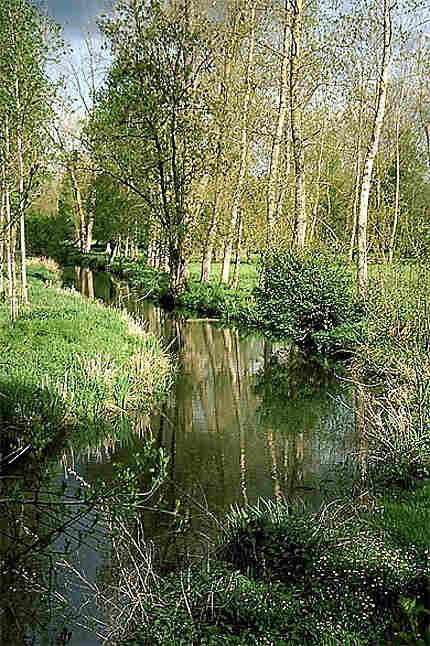 Une conche dans le Marais Poitevin