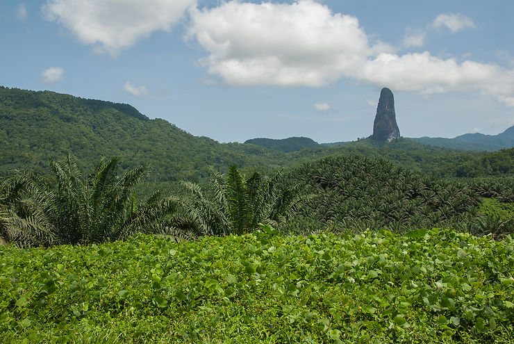 São Tomé-et-Príncipe : l’Afrique, vue du large