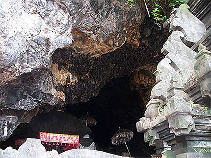 Grotte des chauve-souris de Tenganan