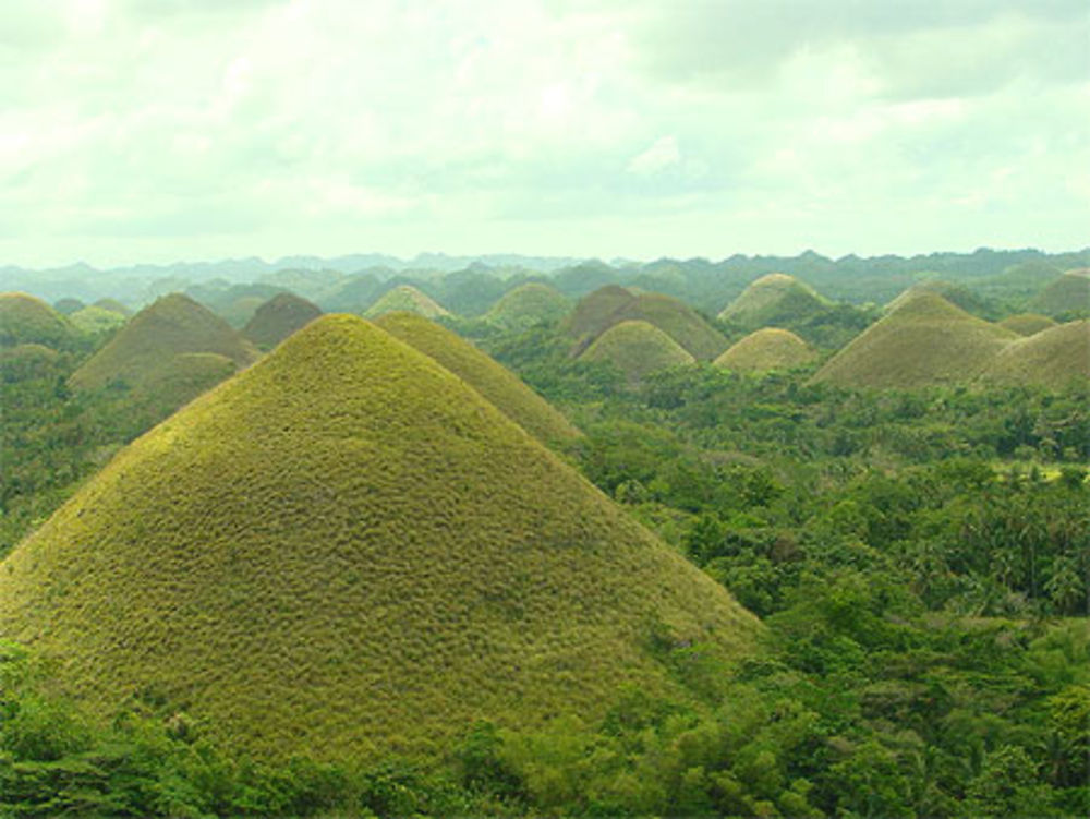 Chocolate hills