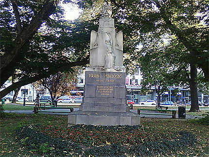 Statue de Franc Miklosic