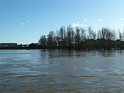 La Loire par une belle journée d'hiver