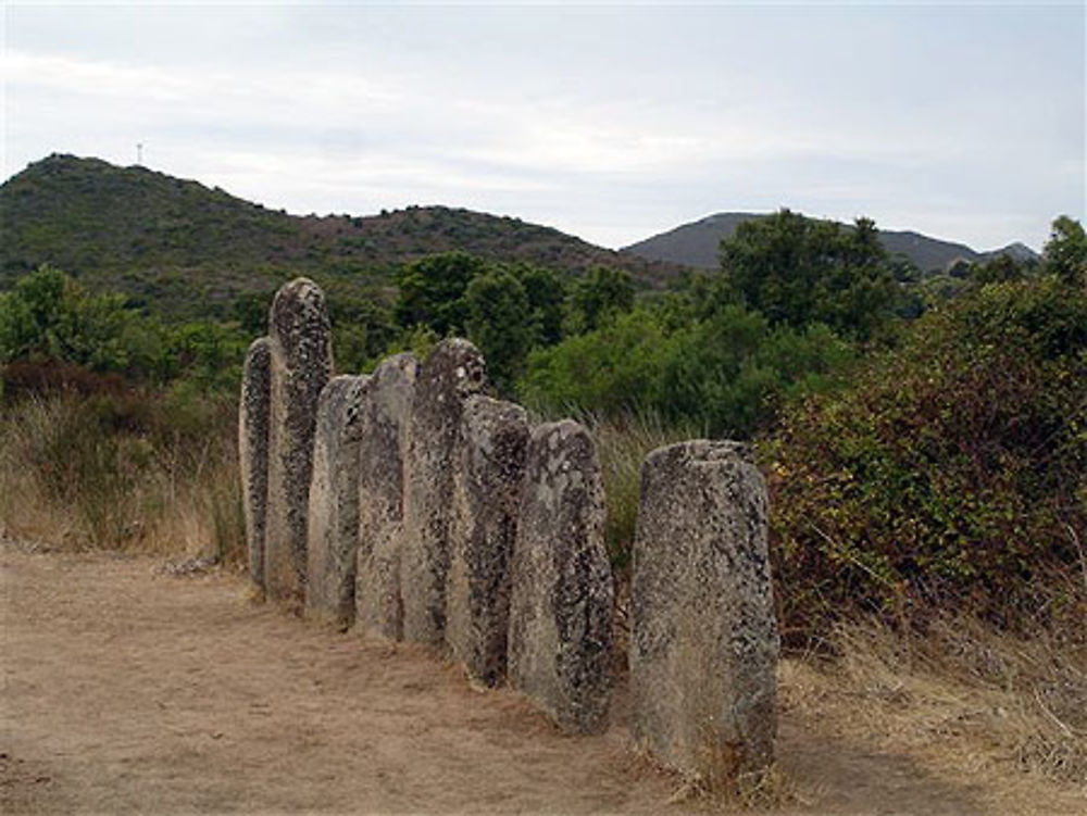 Alignements de Pagliaghju