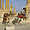 Dromadaires à Palmyre