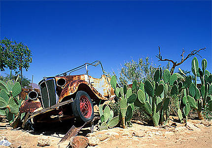 Cactus et voiture