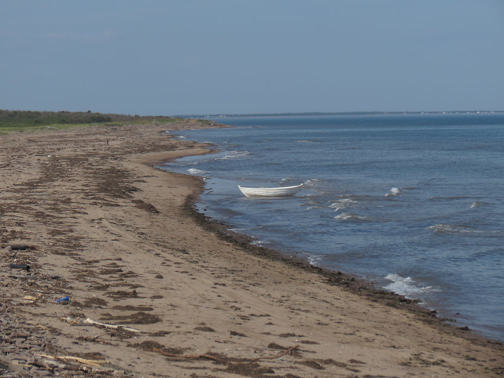 La mer à Pigeon Hill