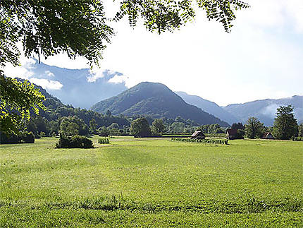 Paysage à Gabrje