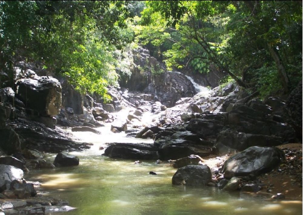 Saut d'Acomat sous un rayon de soleil