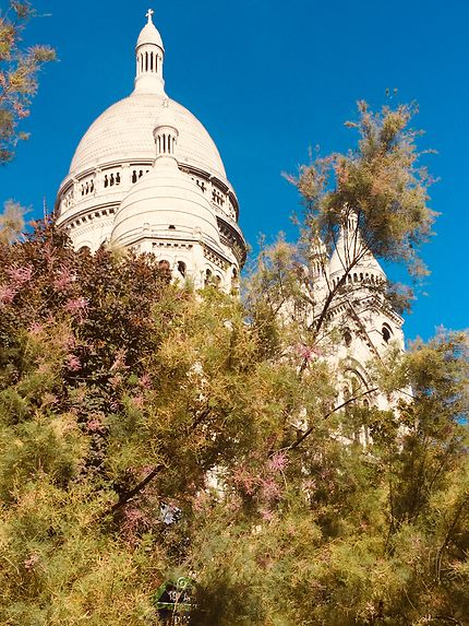 Sacré Cœur de Montmartre 