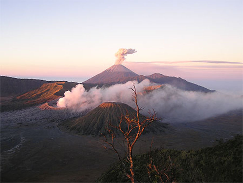 Bromo et Semeru 