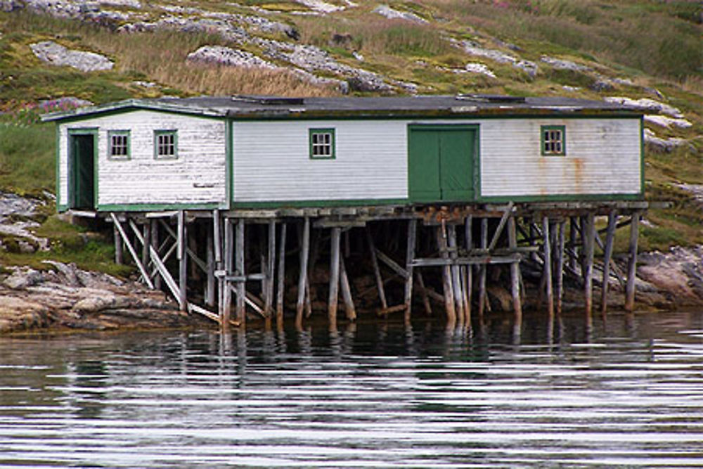 Atelier de pêche