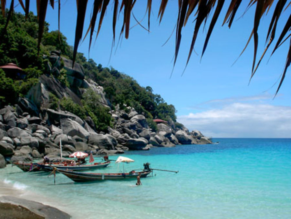 Thailande, Ile de Koh  tao