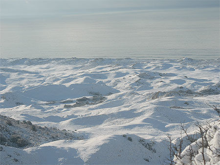 Dunes de biville sous la neige