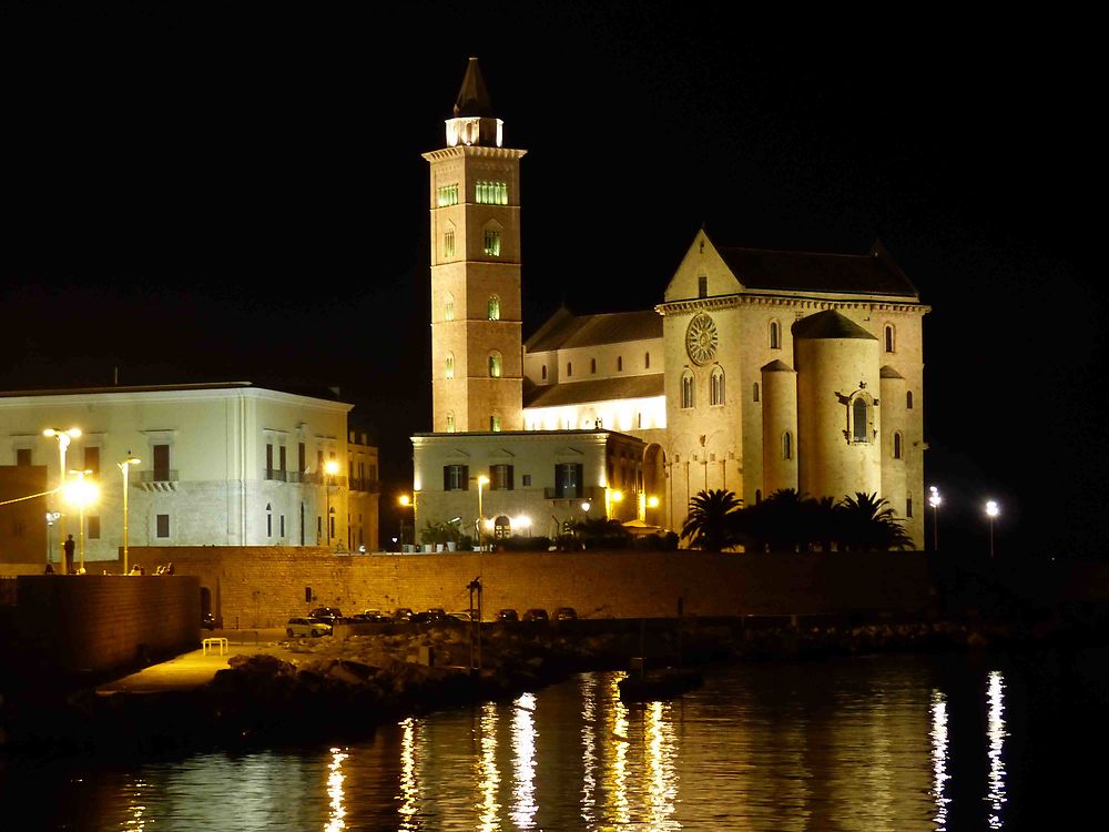 Cathédrale Saint Nicolas le Pèlerin de nuit