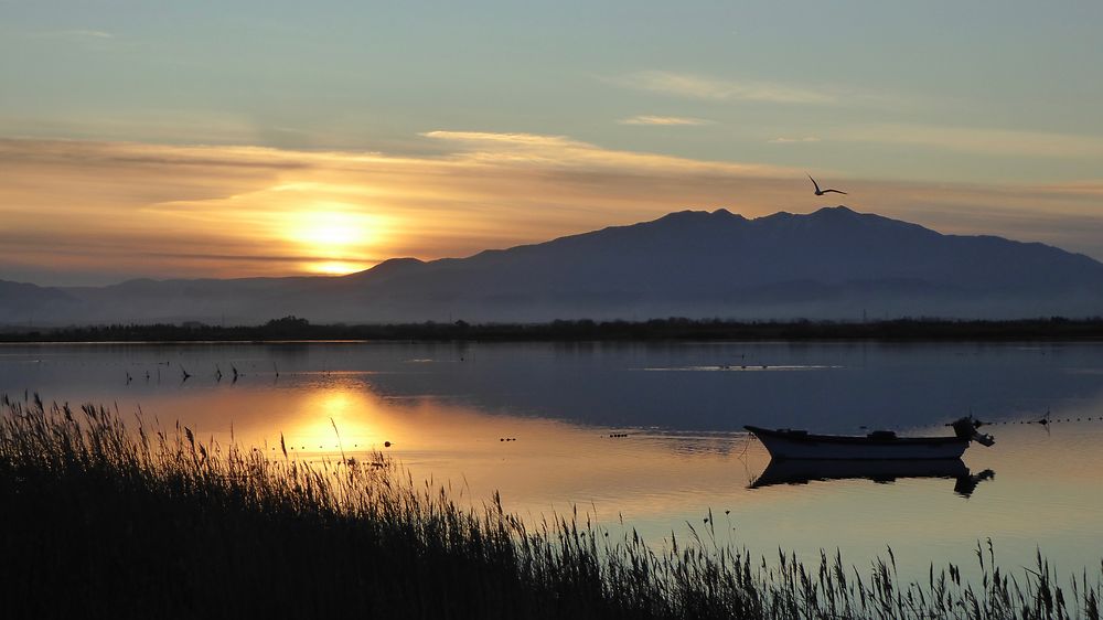 Canigou depuis l'étang de Canet au couchant