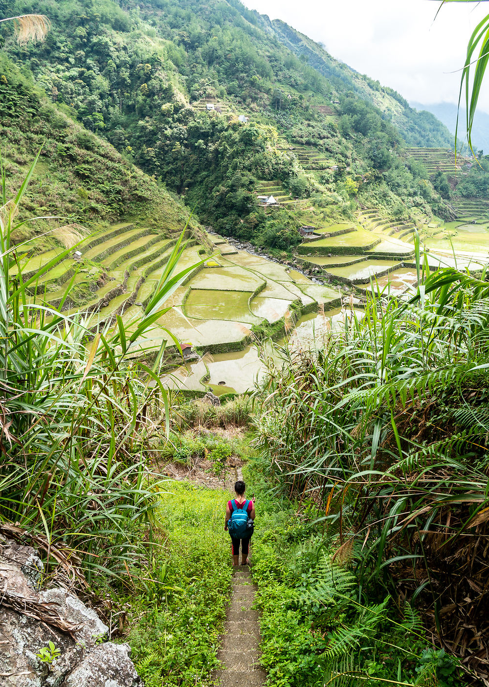 Trek dans la cordillère Philippine - Patyay