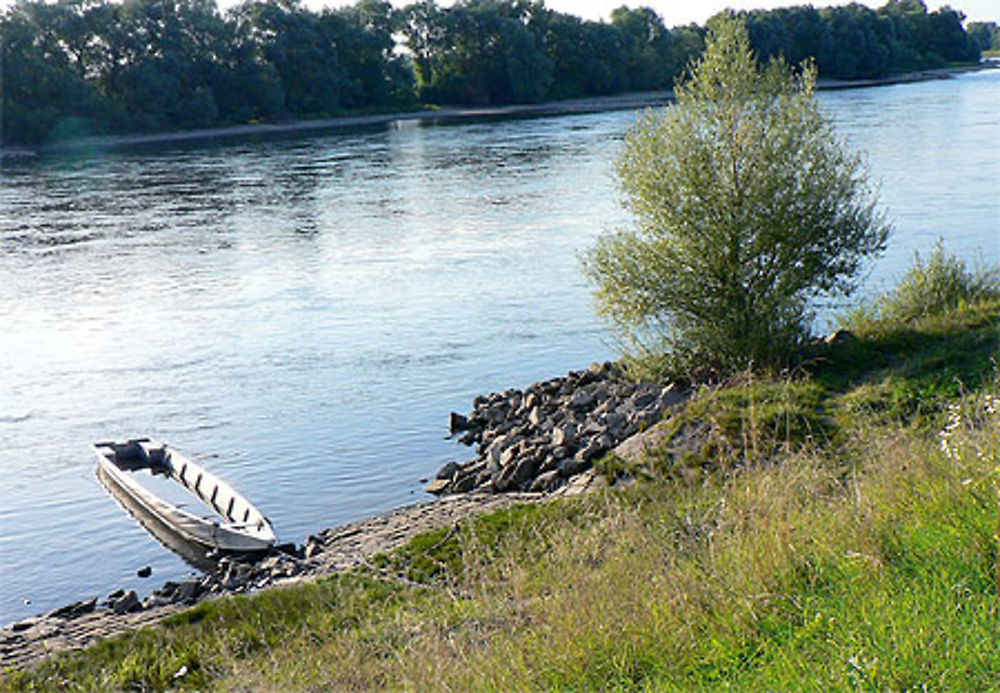 Le beau danube d'argent