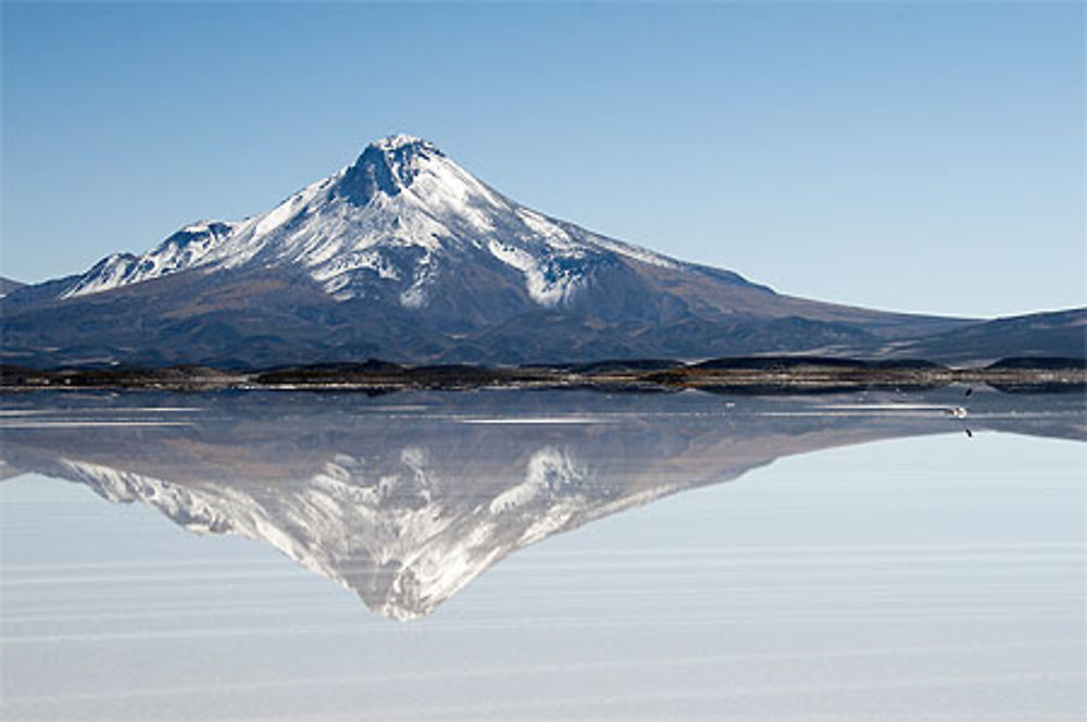 Salar de Coipasa Bolivie