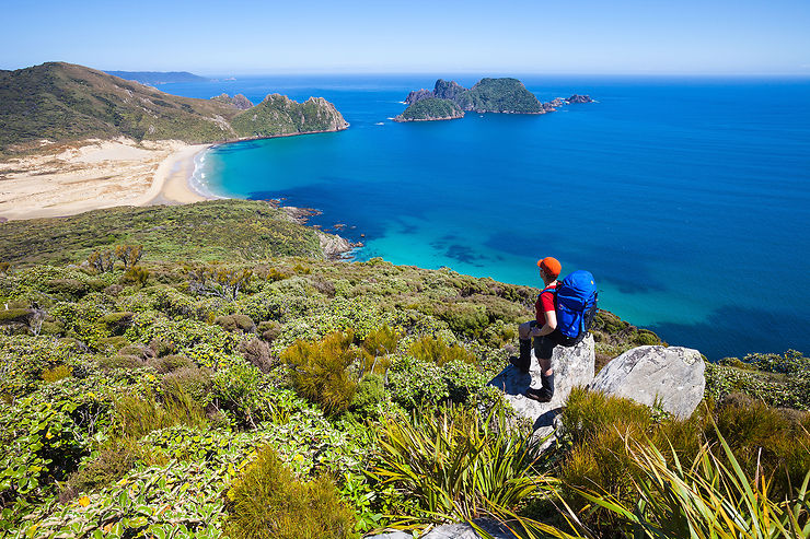 Stewart Island, la patrie du kiwi (Nouvelle-Zélande)