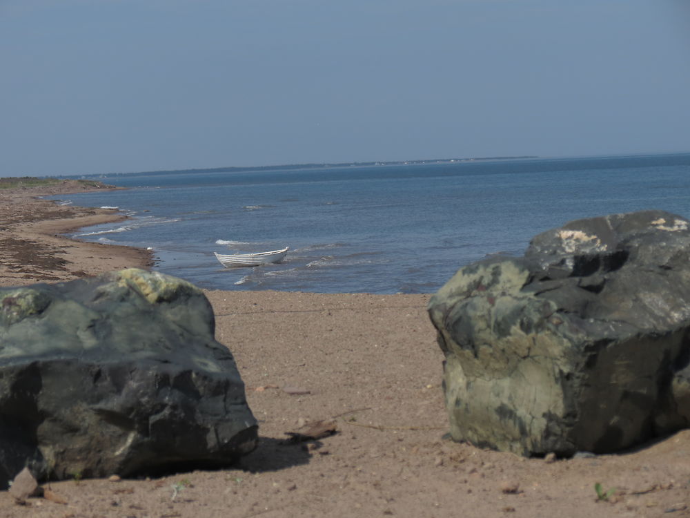 Paysage à Pigeon Hill 