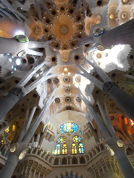 Plafond de la Sagrada Familia