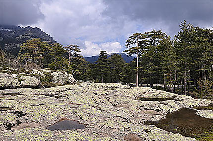 Col de Vergio