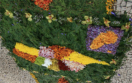 Tapis de fleurs Tapis de fleurs