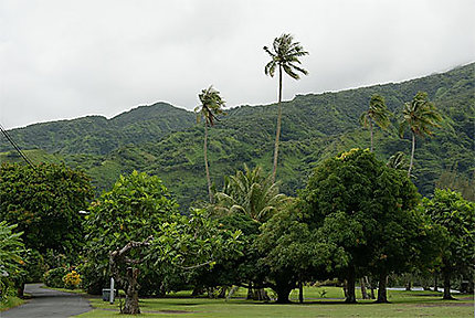Tahiti Iti