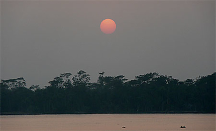 Sundarbans...